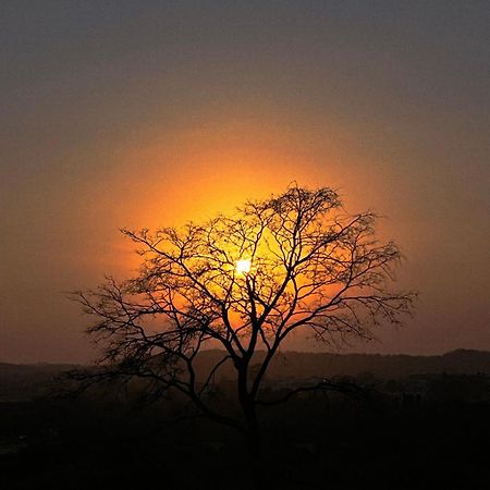 Gir Birding Lodge Sasan Gir Exterior photo