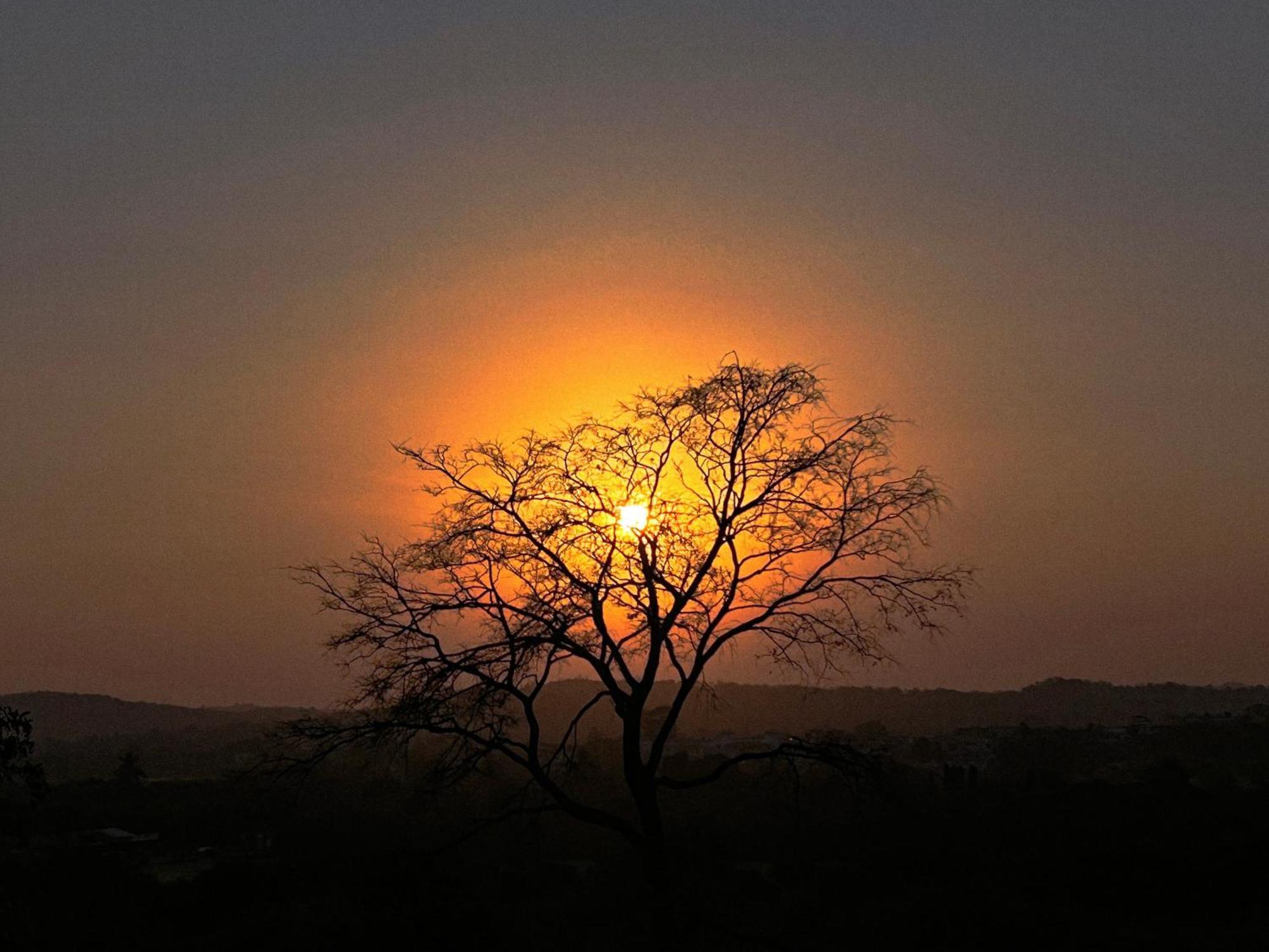 Gir Birding Lodge Sasan Gir Exterior photo